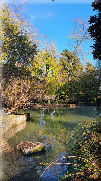 foto Parco Sebellin